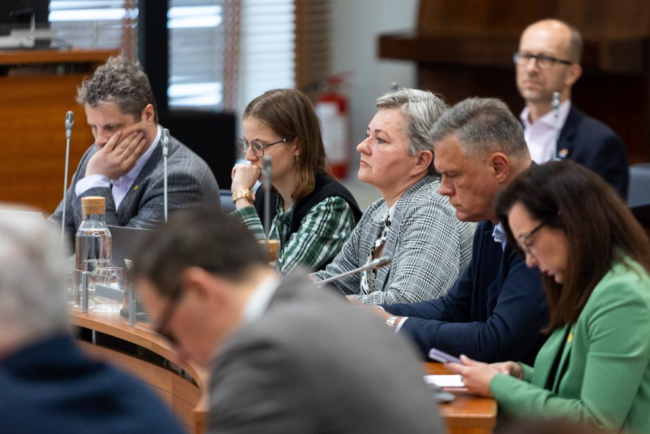 Trečiuoju Vilniaus vicemeru paskirtas teisininkas A. Grigonis