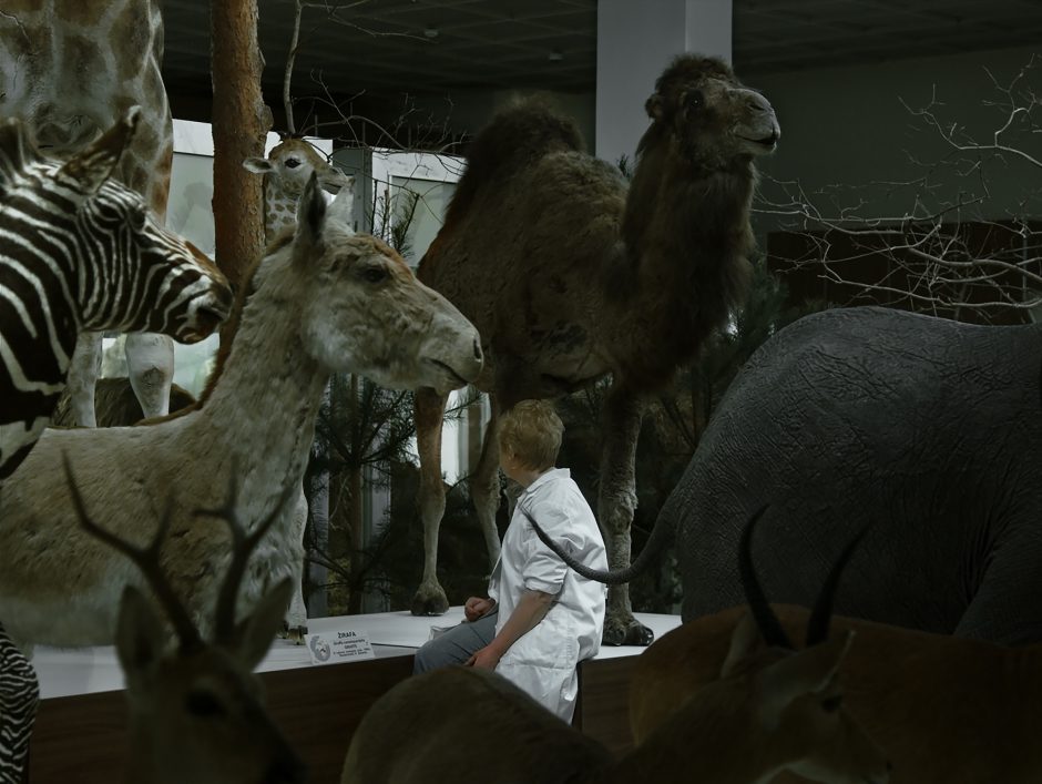 Filmas „Animus animalis“ grįžo iš „HotDocs“ festivalio Toronte