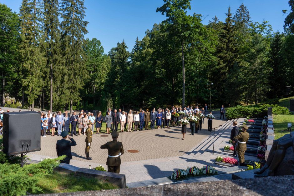 Premjerė: valstybės gynimas ir stiprinimas nėra tik valdžios reikalas – tai visų pareiga