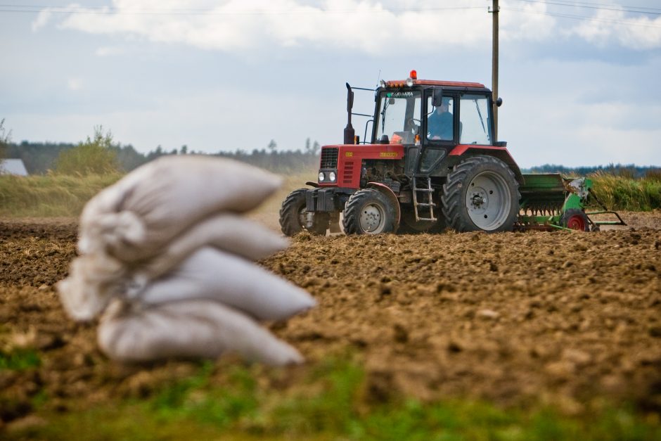 Pradedami mokėti tiesioginių išmokų ūkininkams avansai