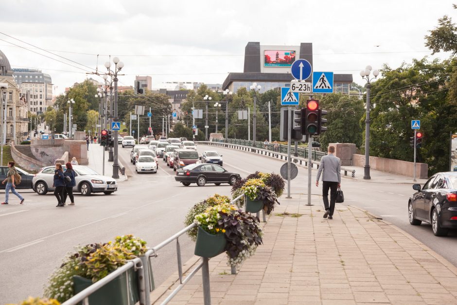 Kuo stebins atsinaujinantis Žaliasis tiltas?