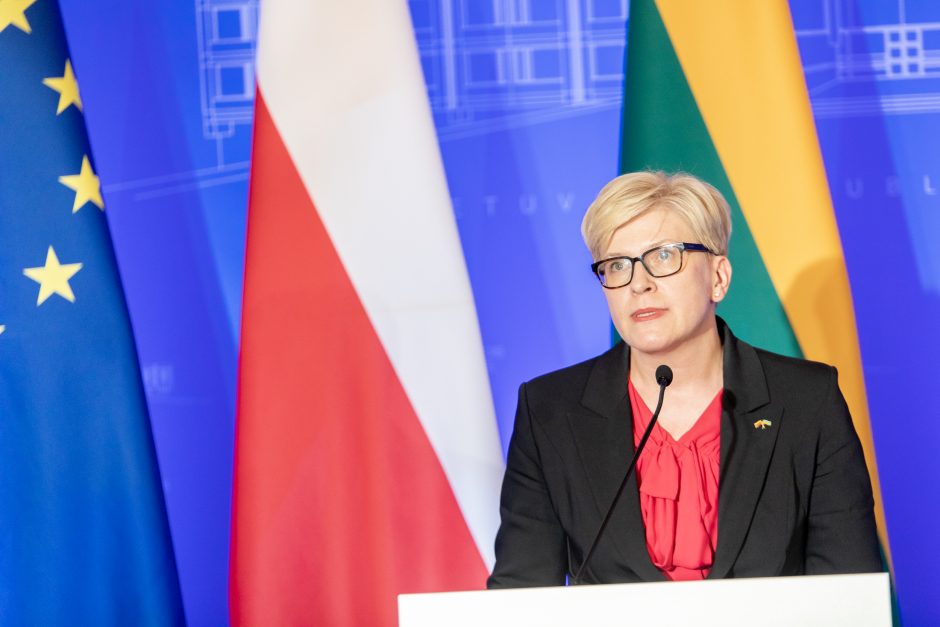 E. Dobrovolska: įrodymai apie Rusijos nusikaltimus renkami vis daugiau valstybių