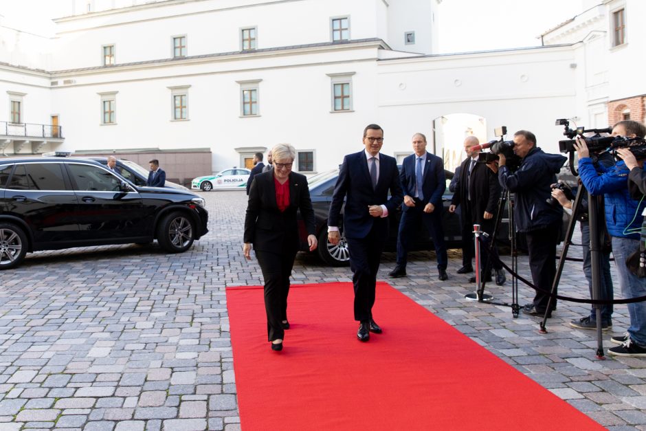 E. Dobrovolska: įrodymai apie Rusijos nusikaltimus renkami vis daugiau valstybių