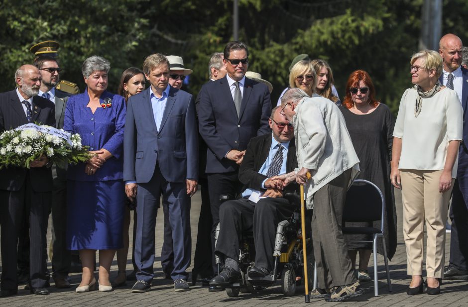 Premjerė: valstybės gynimas ir stiprinimas nėra tik valdžios reikalas – tai visų pareiga