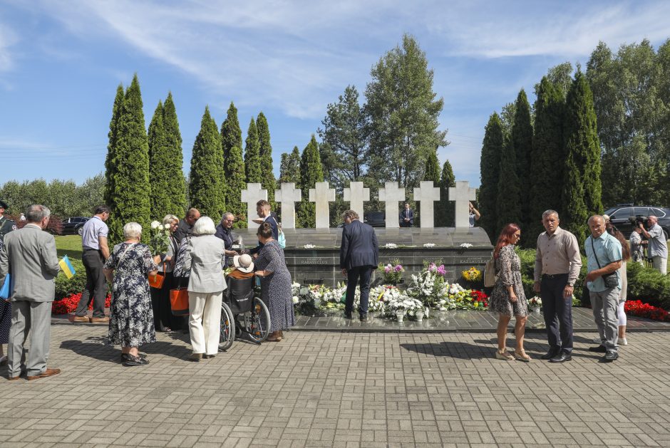 Premjerė: valstybės gynimas ir stiprinimas nėra tik valdžios reikalas – tai visų pareiga