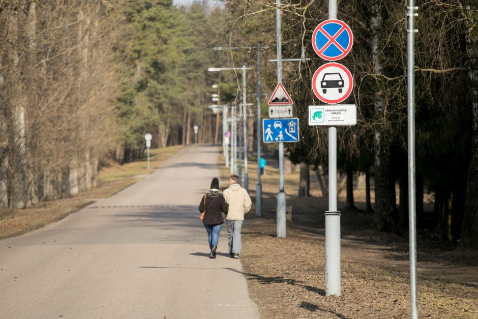 Sostinės parkuose – laikini eismo draudimai dėl varlių migracijos