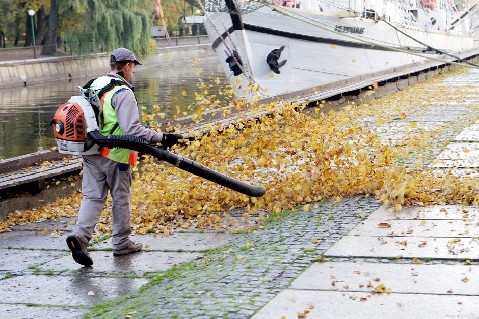 Rudens sezoną lydės vis tie patys rūpesčiai