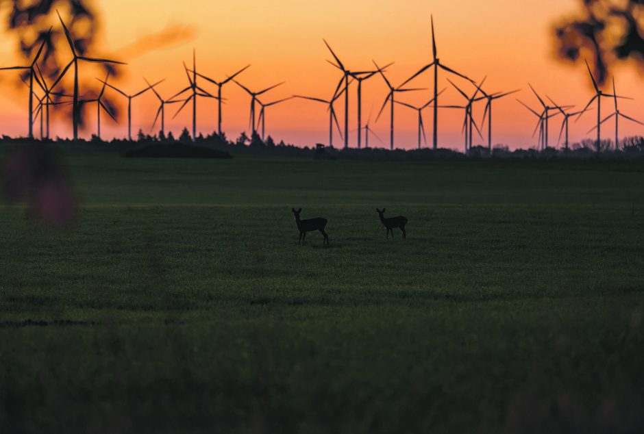 Naujo ciklo pradžia: kur kreipti atsinaujinančiųjų išteklių energetikos trajektoriją?