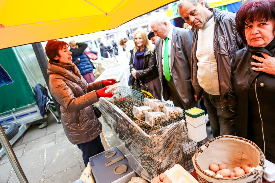 Derliaus šventėje – ir skrudintos sraigės, ir meilūs triušiai