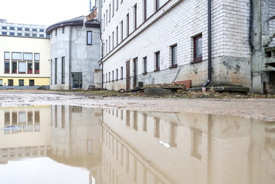 Anksčiau moterys gimdydavo bulvių lauke, dabar – statybose