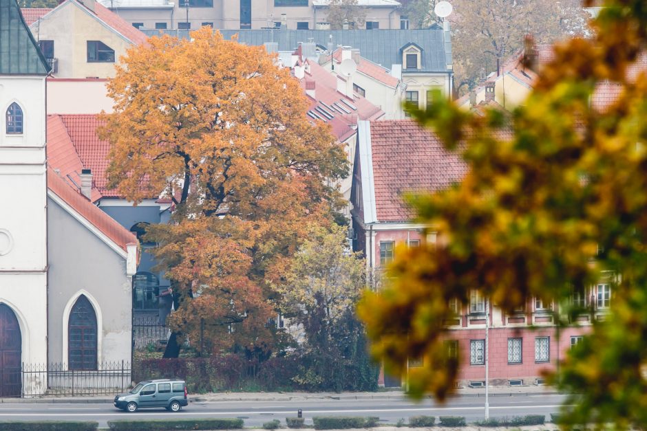 Bobų vasara įsisiūbavo: penktadienis bus šilčiausia spalio diena