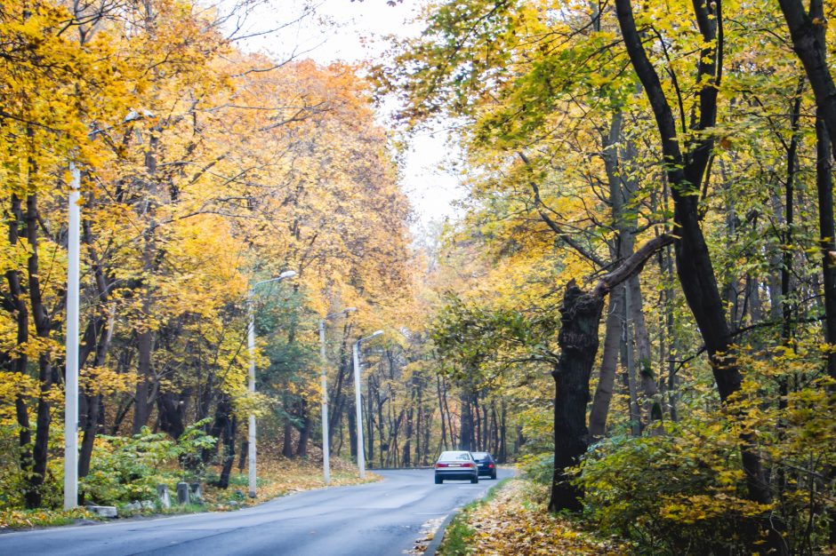 Bobų vasara įsisiūbavo: penktadienis bus šilčiausia spalio diena