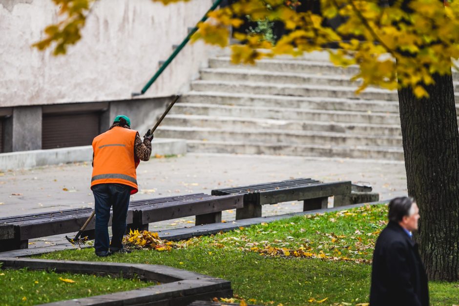 Bobų vasara įsisiūbavo: penktadienis bus šilčiausia spalio diena