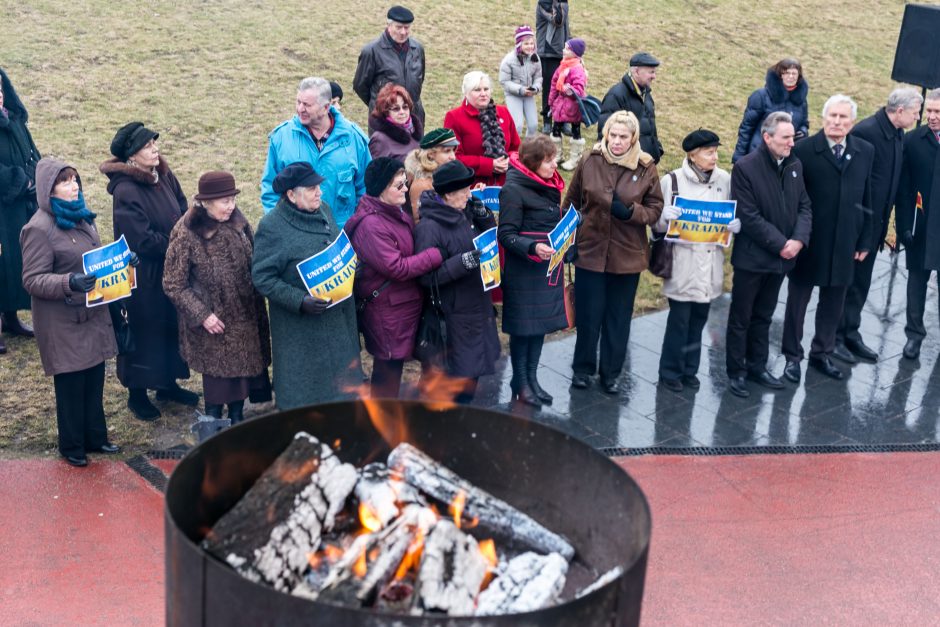 Iš Kauno – vėl paramos žodžiai Maidanui