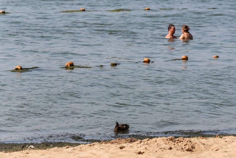 Karščiausia metų diena Marių paplūdimyje