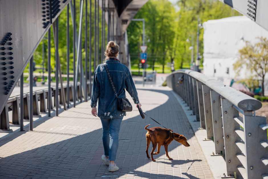 Pavasariška šiluma išviliojo vilniečius į miesto erdves