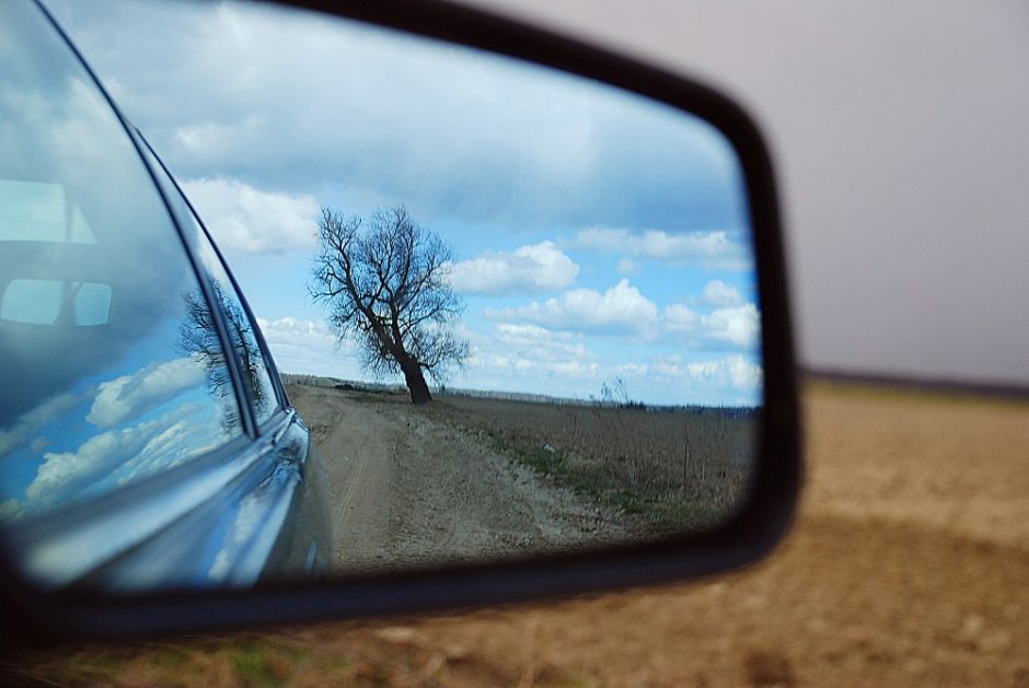 Šalčininkų rajone į medį rėžėsi automobilis: vairuotojas – girtas ir neturintis teisės vairuoti