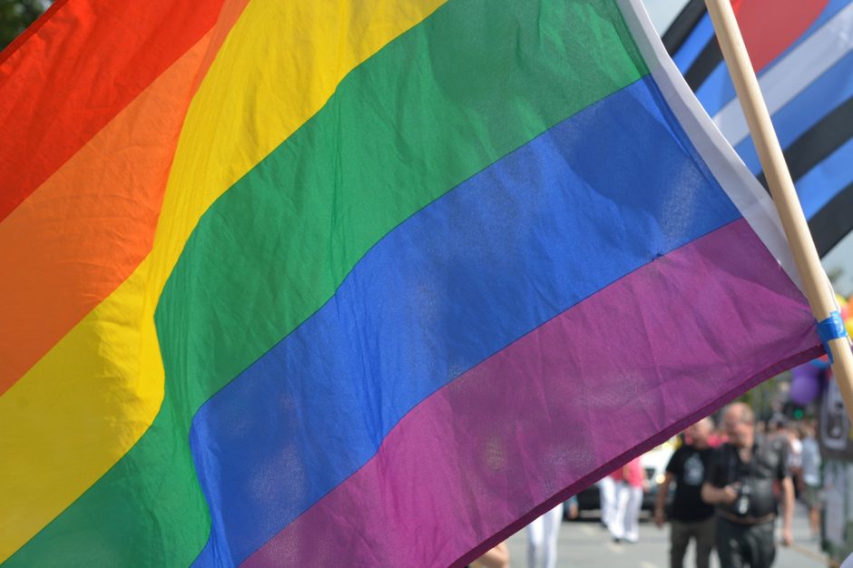 Planuojamoms surengti LGBTI eitynėms palaikymą išreiškė daugiau kaip 20 šalių