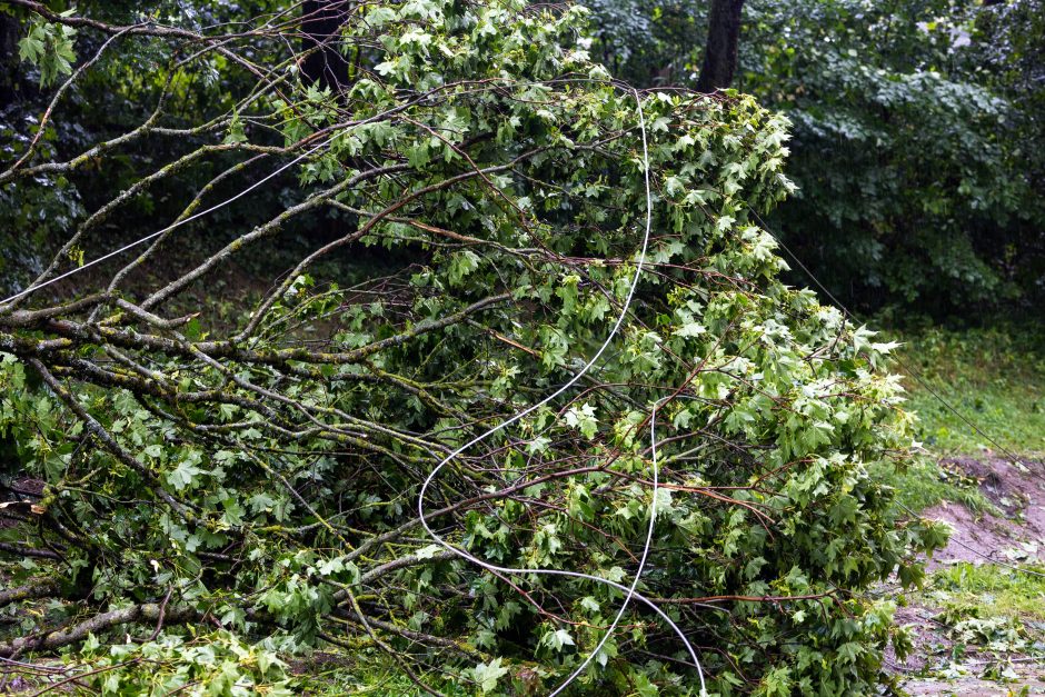 Gyventojai užgulė tarnybas: per valandą – 800 pagalbos skambučių