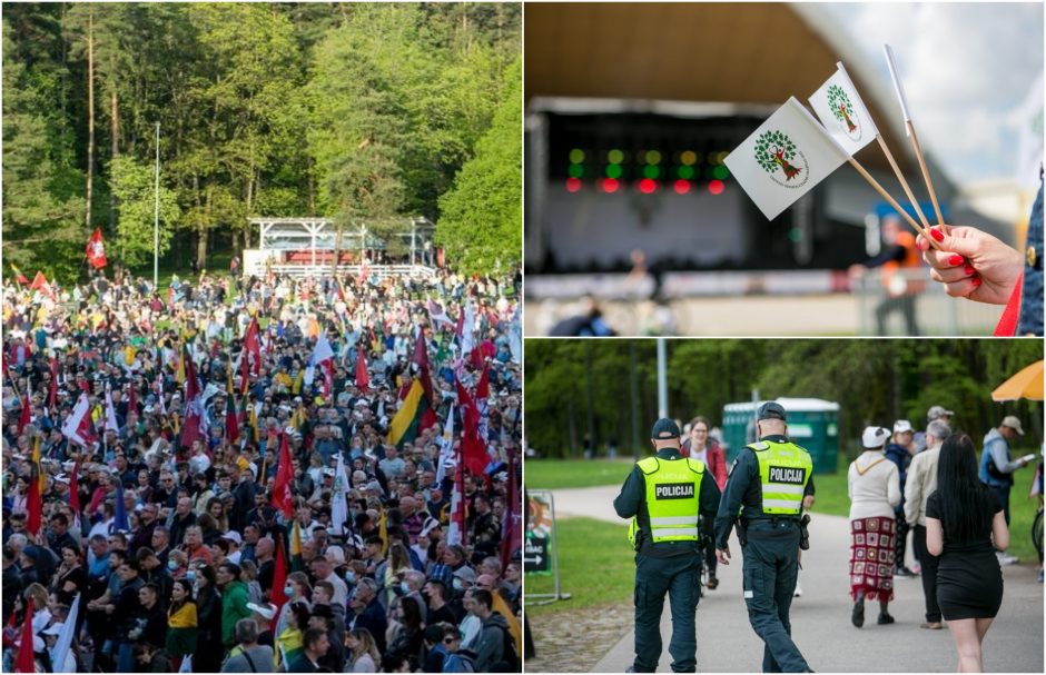 „Didžiojo šeimos gynimo maršo“ peripetijos tęsiasi: parodę meno kūrinį, padarė dvigubą pažeidimą?