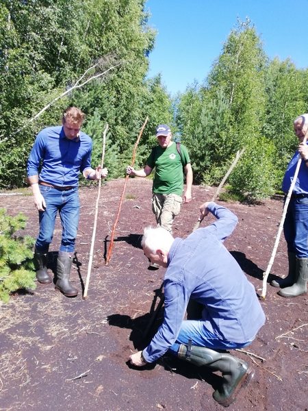 Dėmesys pelkių atsistatymui: atkuriamos sutrikdytos natūralios ekosistemos