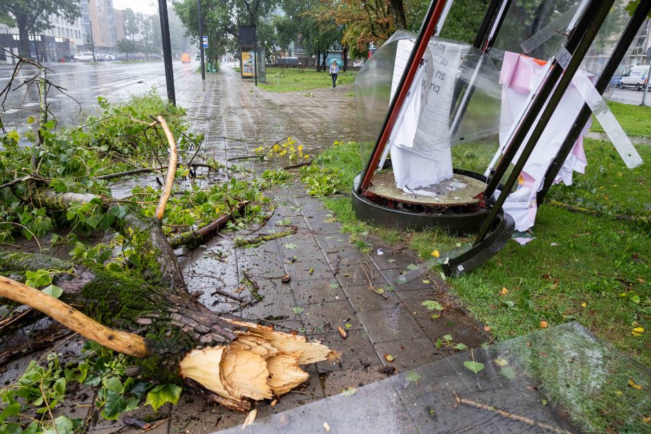 Gyventojai užgulė tarnybas: per valandą – 800 pagalbos skambučių