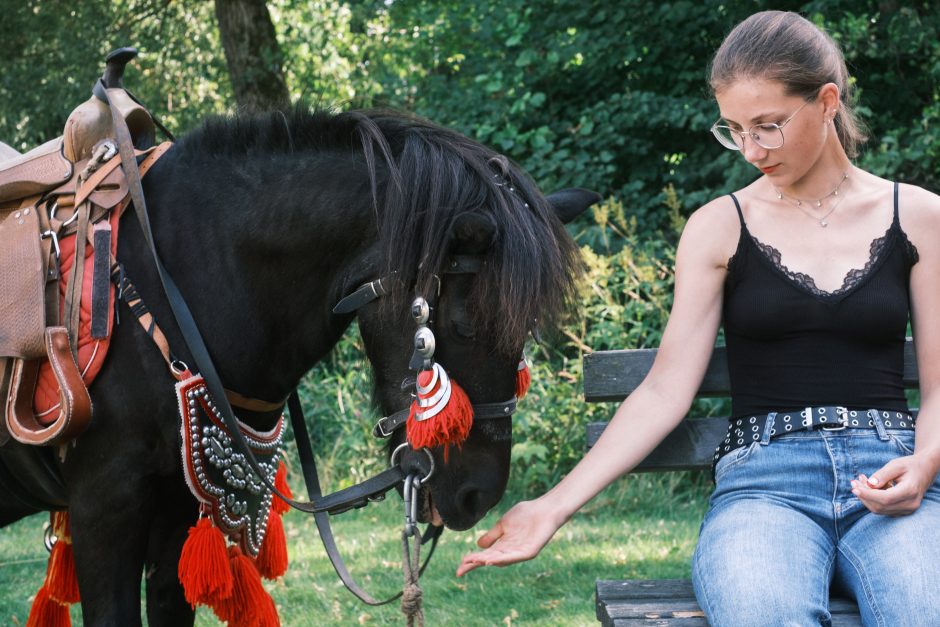 Mėlynių festivalis Lekėčiuose