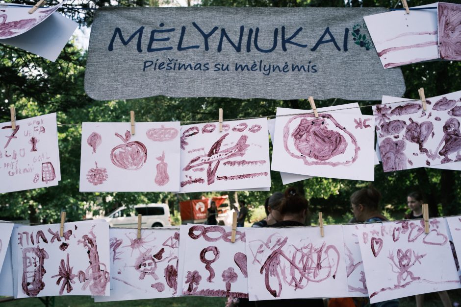 Mėlynių festivalis Lekėčiuose