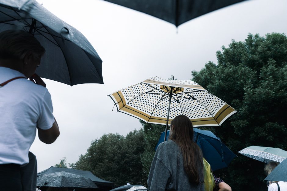 Roko Kašėtos koncertas Kalniečių parke