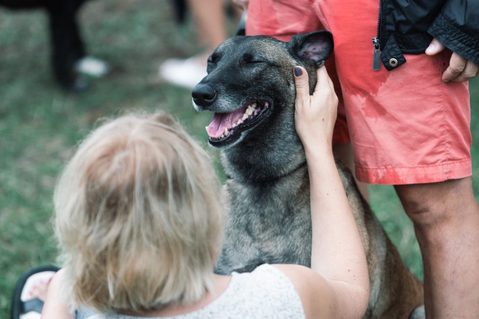 Roko Kašėtos koncertas Kalniečių parke