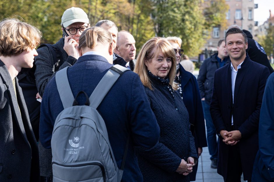 A. Armonaitė: artėjant prie balsadėžių pasirodo tikrasis politikų veidas