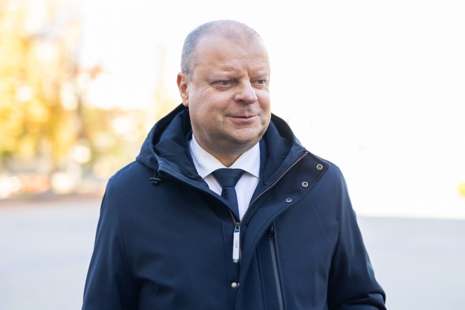 S. Skvernelis po susitikimo su prezidentu: ne veltui mes kūrėme partiją tris metus