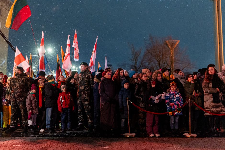 Atminimo laužų uždegimo ceremonija Vilniuje, Nepriklausomybės aikštėje