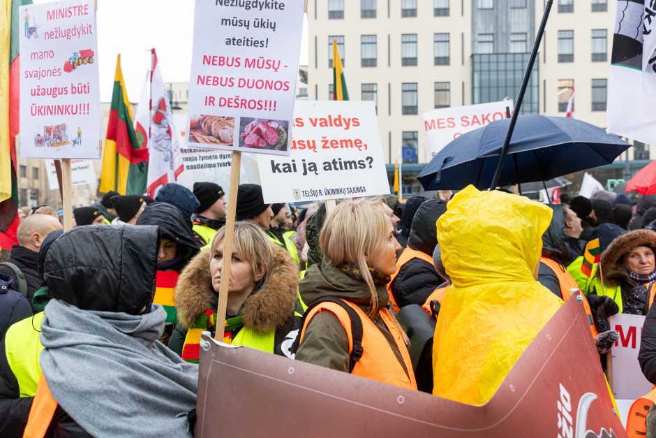 Žemdirbių protestas: skambūs šūkiai, „nubaubtas“ ministras, gaudžiantys traktorių signalai 