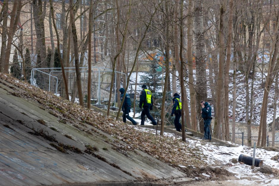 Dingusio 15-mečio paieška: žmonės rado daugiau paauglio daiktų