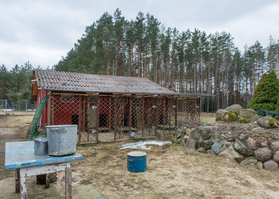 Vokiečių aviganių veisėja: šuo – ne žaislas