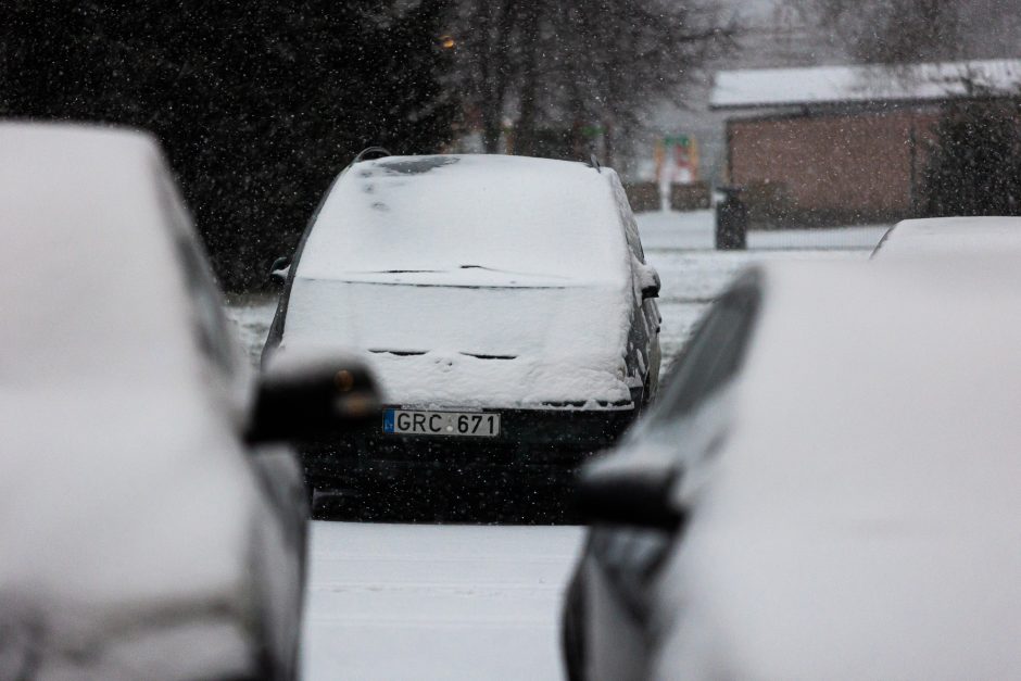 Sningant viešasis transportas Vilniuje vėluoja iki 50 minučių