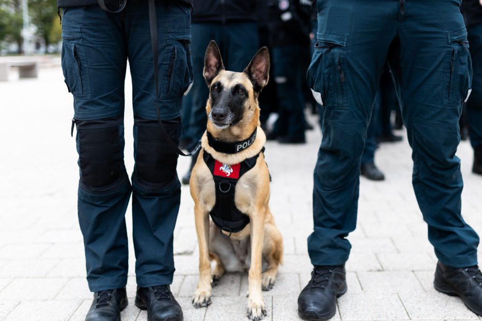 Vilniuje – policijos bendruomenės eisena: pareigūnai prašo didesnių atlyginimų