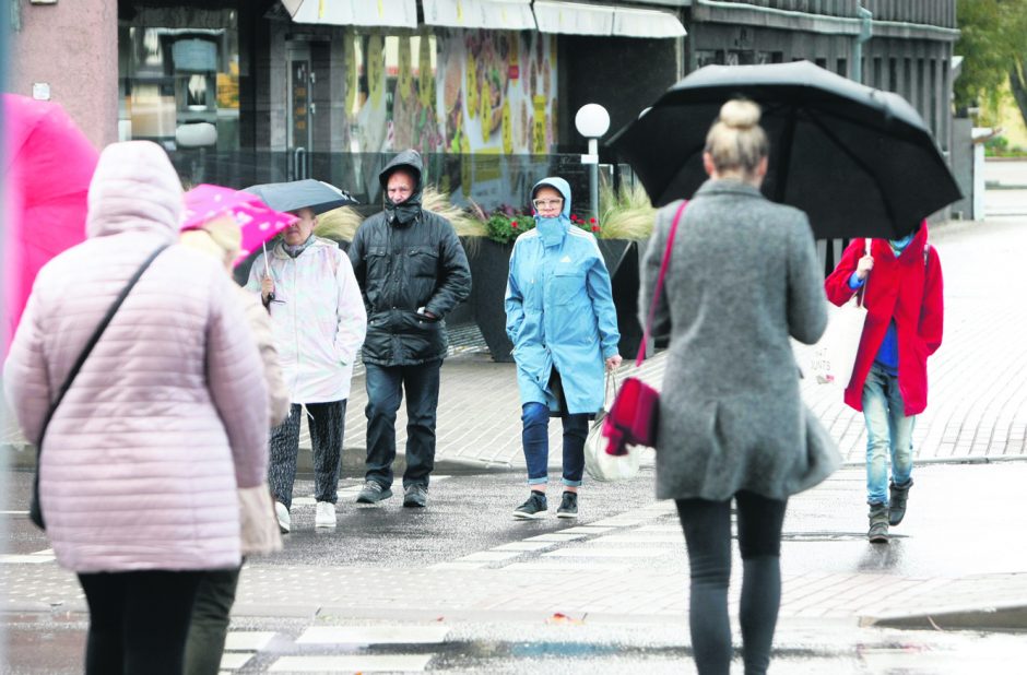 Stiprus vėjas Klaipėdoje stabdo uosto darbą, laužo medžių šakas