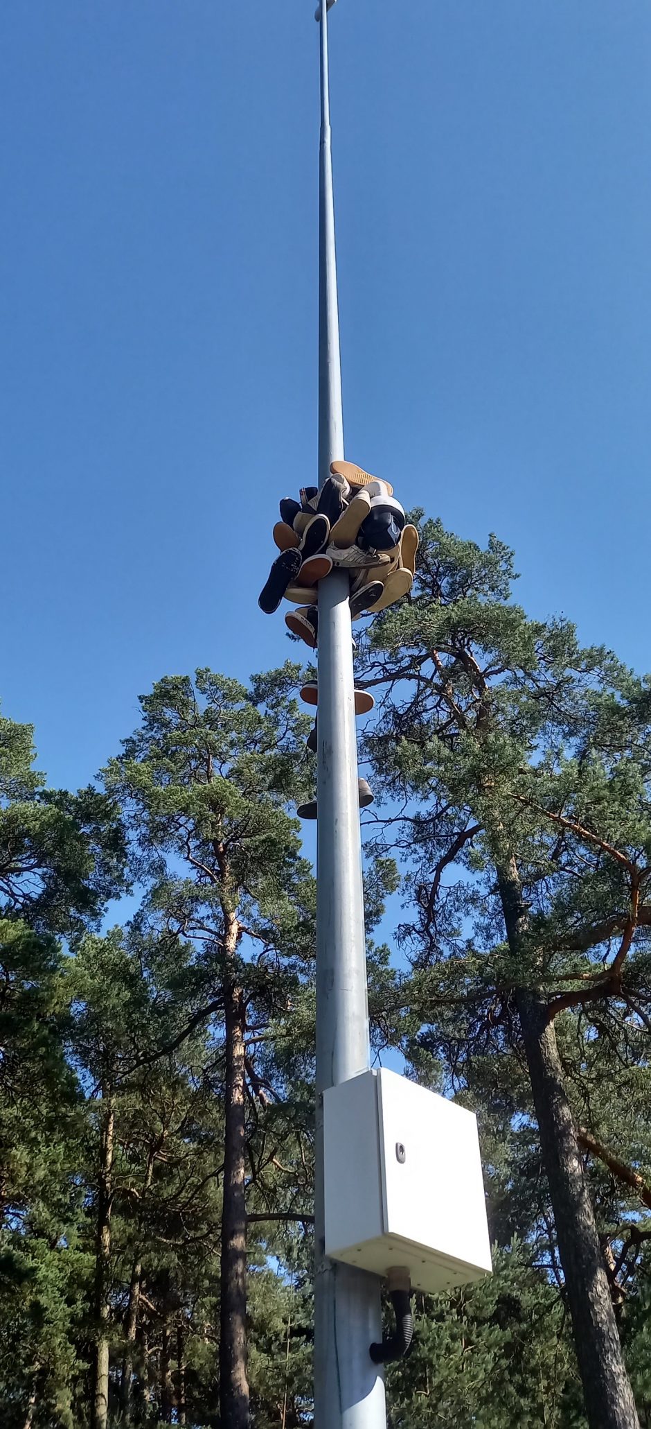 Neįprastas reginys: Poilsio parke – batų medis