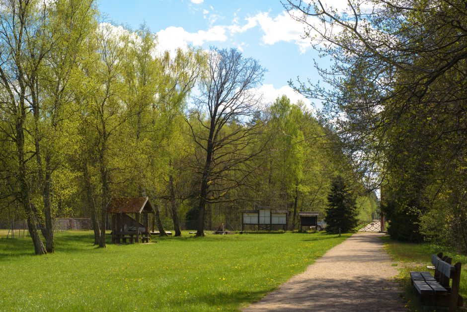 Pašilių stumbryne – pažintis su stambiausiais laukiniais gyvūnais