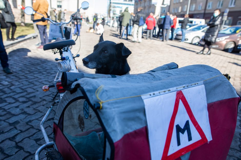 Protestuotojų reikalavimas Vyriausybei – atnaujinti praktinį vairavimo mokymą ir egzaminus