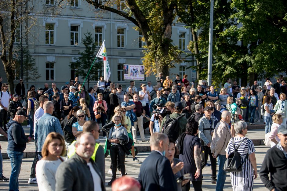 Vilniuje – tūkstantinis protestas: su plakatais „Ne gyvulių pasui“ ir „Dž. Sorošą lauk iš Lietuvos“