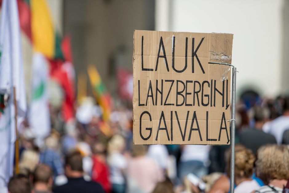 Vilniuje – tūkstantinis protestas: su plakatais „Ne gyvulių pasui“ ir „Dž. Sorošą lauk iš Lietuvos“