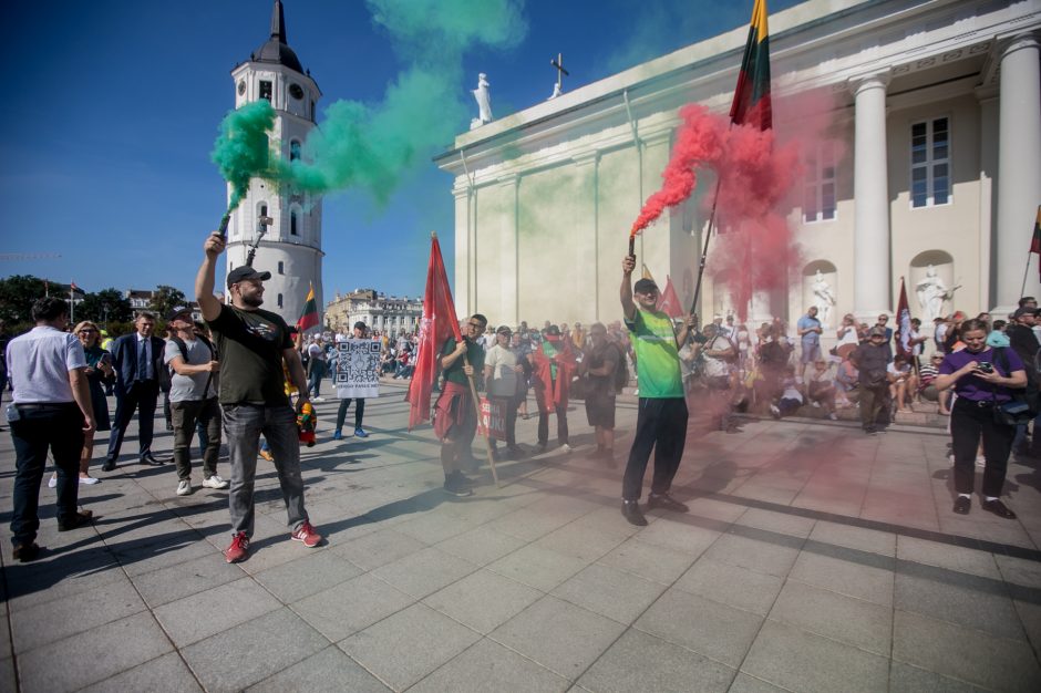 Vilniuje – tūkstantinis protestas: su plakatais „Ne gyvulių pasui“ ir „Dž. Sorošą lauk iš Lietuvos“