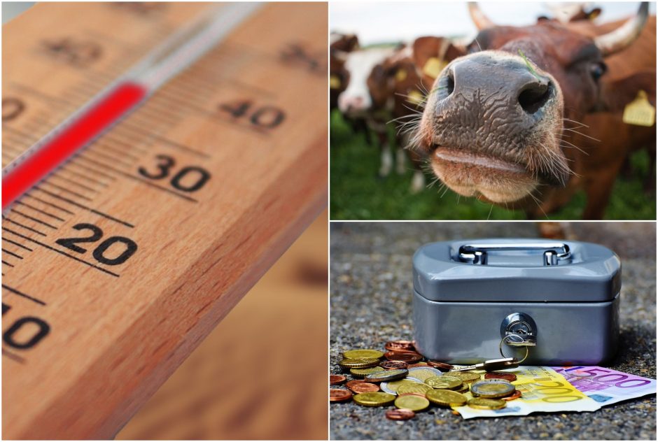 Pienininkystėje siūloma mažinti šiltnamio efektą sukeliančias dujas