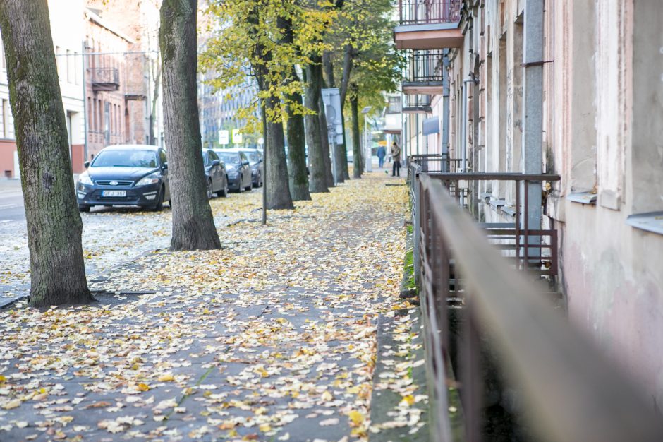 Beda pirštu į lapais nuklotas Kauno gatves: tikrų tikriausia čiuožykla!