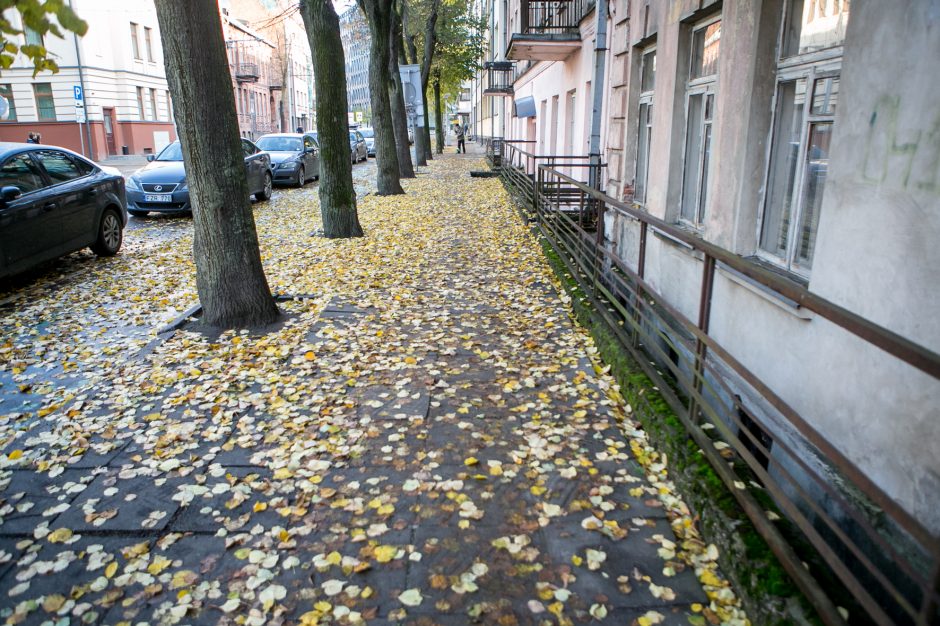 Beda pirštu į lapais nuklotas Kauno gatves: tikrų tikriausia čiuožykla!