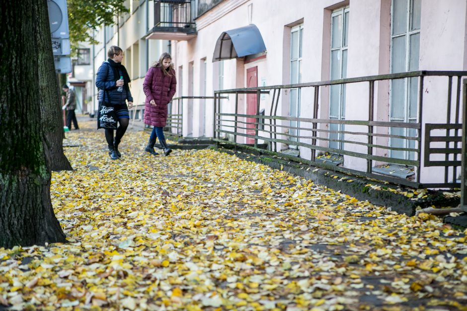 Beda pirštu į lapais nuklotas Kauno gatves: tikrų tikriausia čiuožykla!