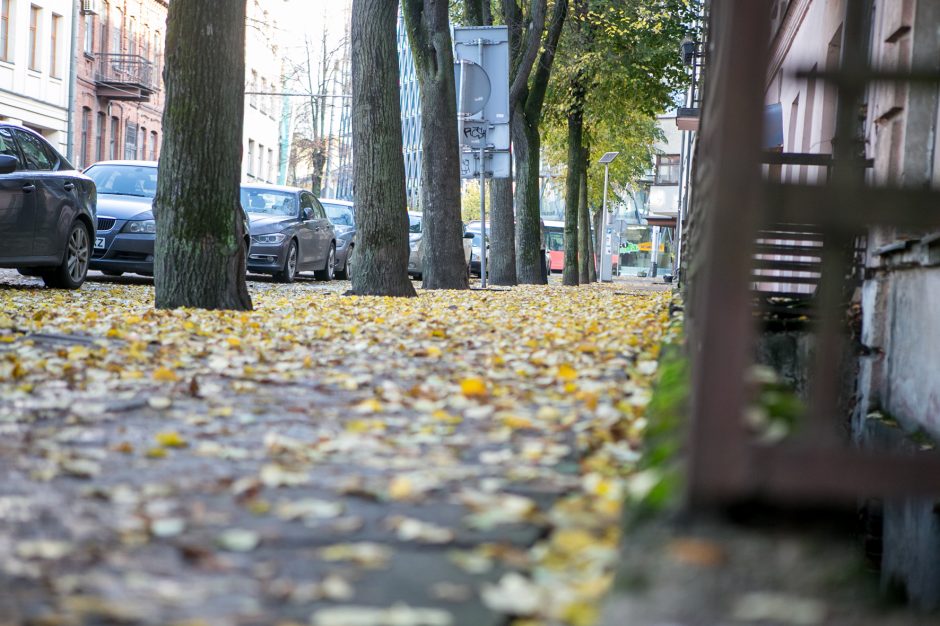 Beda pirštu į lapais nuklotas Kauno gatves: tikrų tikriausia čiuožykla!